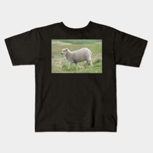 Shetland lamb Kids T-Shirt